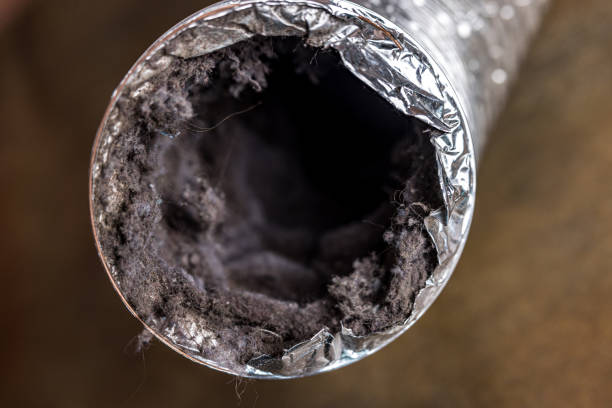 Best Duct Cleaning for Offices  in Castle Shannon, PA